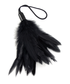 Frisky Feather Pleasure Tickler