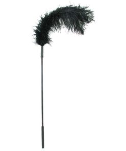 Ostrich Feather